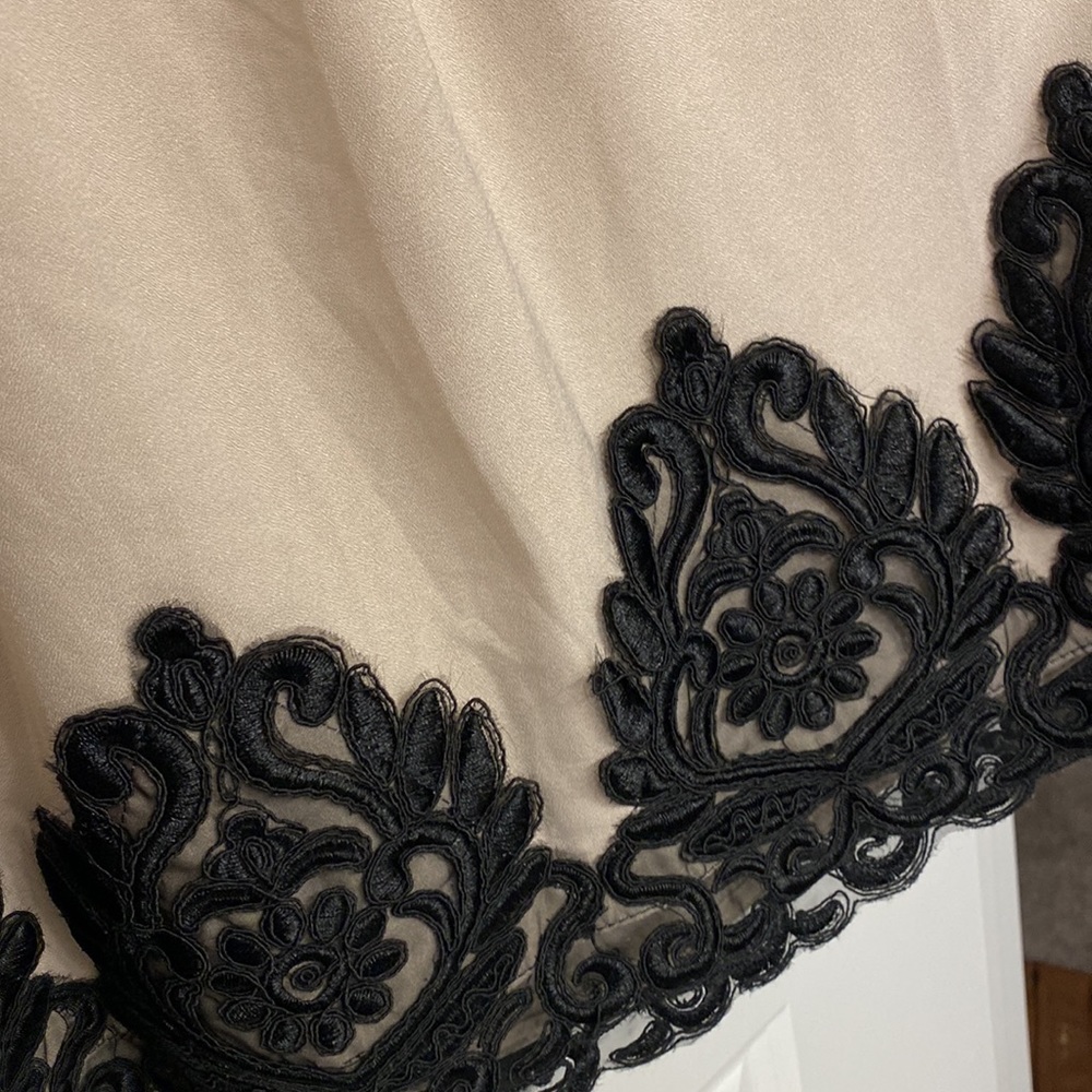 Altar’d State Beige Fit and Flare Dress with Black Lace Appliqué - Picture 4 of 5